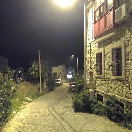 Narcicegi * Алачати