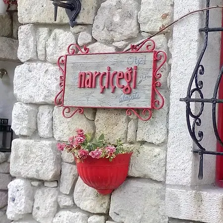 Narcicegi מלון אלאקאטי