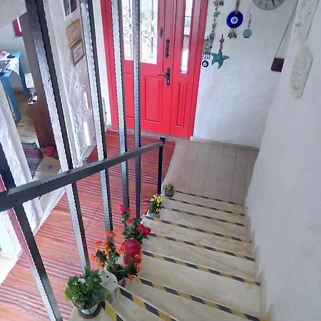 Hotel Narcicegi