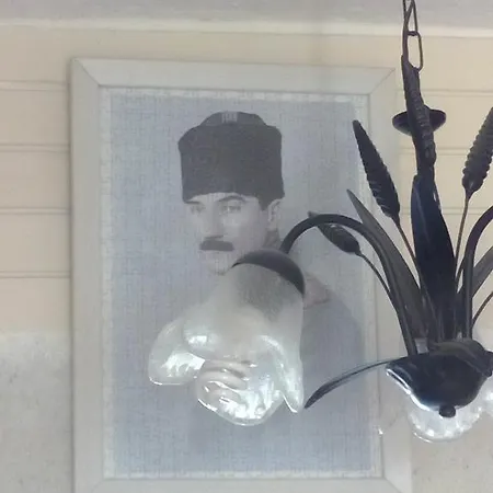 Narcicegi Alaçatı