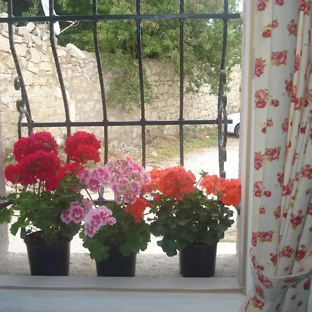 Narcicegi * Alaçatı