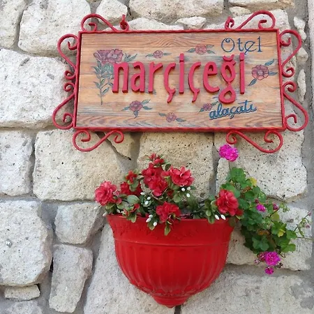 מלון Narcicegi