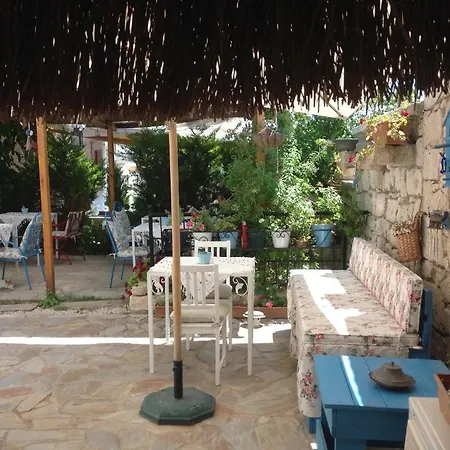 Narcicegi